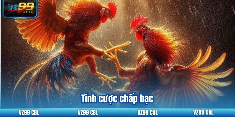 Tính cược chấp bạc