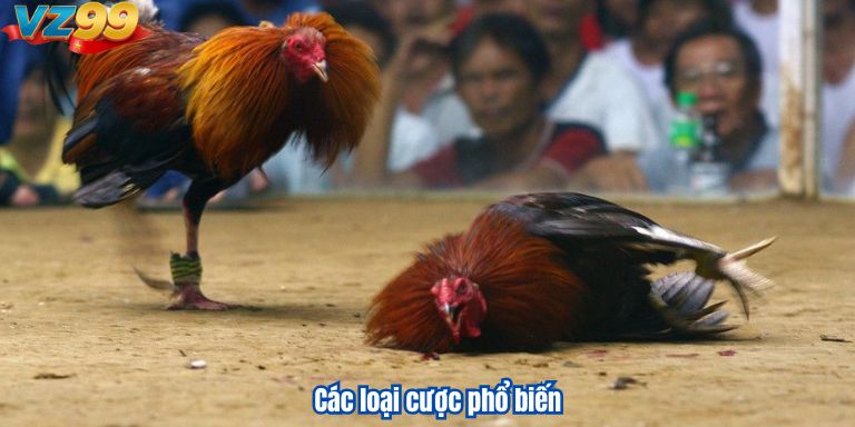 Các loại cược phổ biến